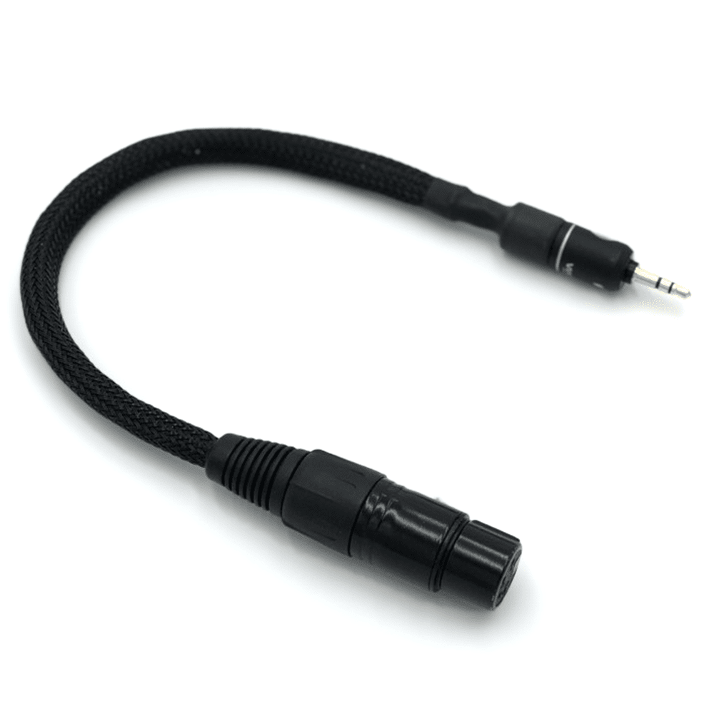 XLR - JACK 3,5 MM ADAPTER – Spirit Torino